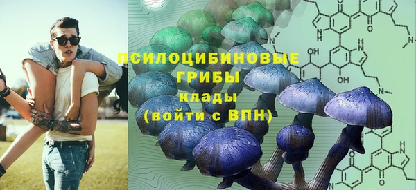 spice Осинники