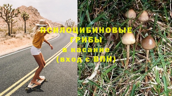 молекула духа Абдулино