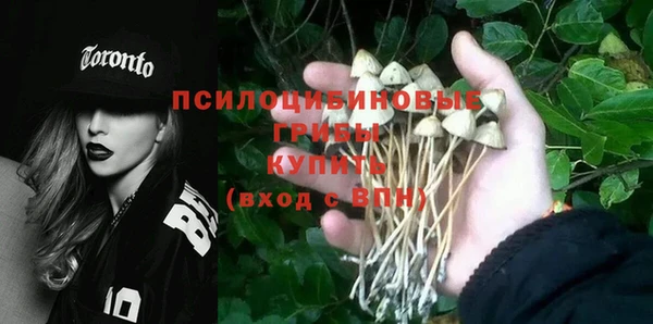 молекула духа Абинск